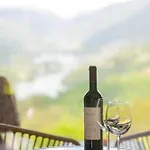Quinta De Calvelos Vieira do Minho