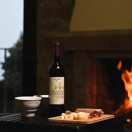 Quinta De Calvelos * 비에이라도미노