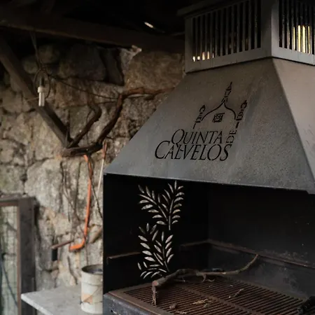 Κατάλυμα σε φάρμα Quinta De Calvelos