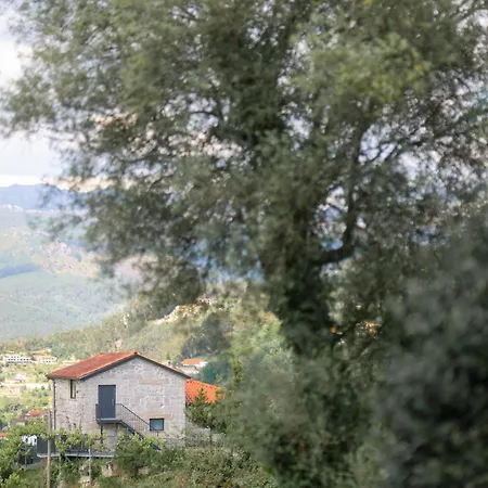 Quinta De Calvelos Farm stay