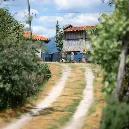 Quinta De Calvelos