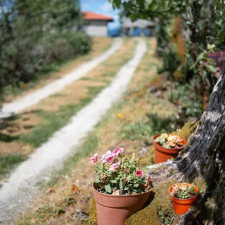 Quinta De Calvelos *