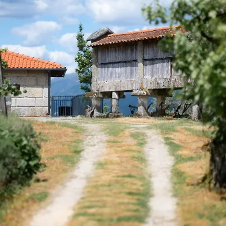 Quinta De Calvelos * Vieira do Minho