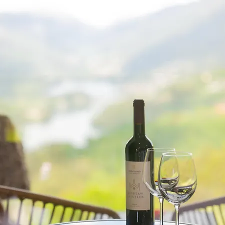 Quinta De Calvelos Виейра-ду-Минью