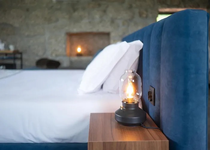 Quinta De Calvelos * 维埃拉·多米尼奥