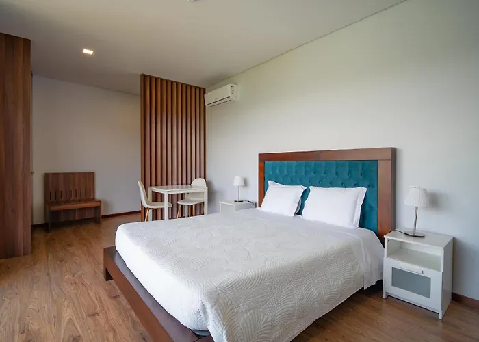 农家乐 Quinta De Calvelos 维埃拉·多米尼奥